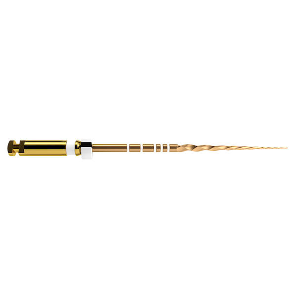 ProTaper Gold Feilen