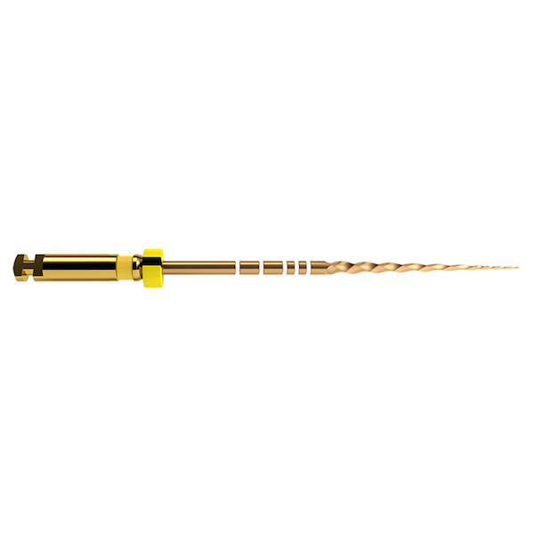 ProTaper Gold Feilen