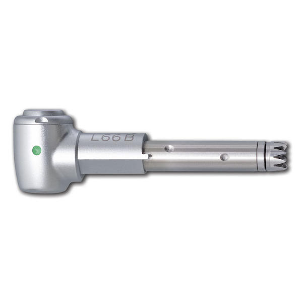 INTRA Kopf L 66 B