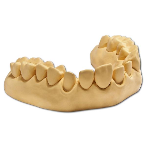 esthetic-base® gold