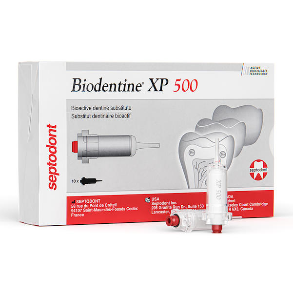 Biodentine XP 500